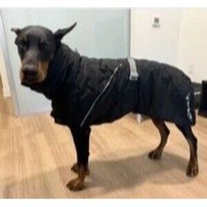 Hurtta Extreme Warmer III ECO Dog Coat Jacket Black Winter Warm Reflective Large